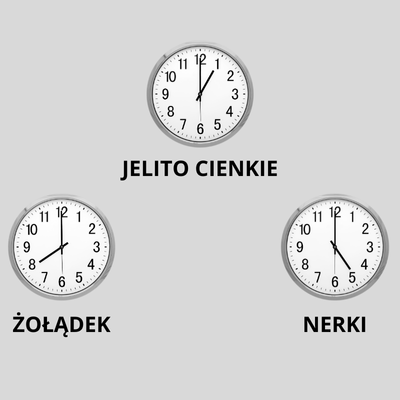 DLACZEGO OBJAWY NIETOLERANCJI HISTAMINY NASILAJĄ SIĘ O OKREŚLONYCH PORACH DNIA