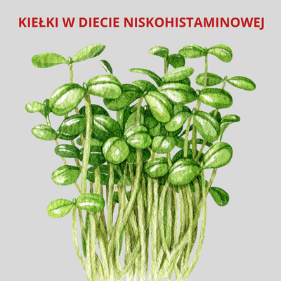 KIEŁKI PRZY NH - KTÓRE SĄ NAJLEPIEJ TOLEROWANE I JAK BEZPIECZNIE HODOWAĆ JE W DOMU?